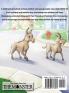 Monster in the Air: A children's storybook on the Coronavirus