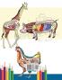 Veterinary Anatomy Coloring Book