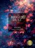 Bright Dust