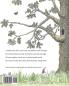 What The Oak Tree Sees (The World of Hiddel Brock Wood)