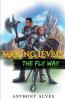 Making Levels The Fly Way