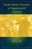 Social Identity Processes in Organizational Contexts