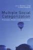 Multiple Social Categorization