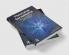 Theorizing Surveillance