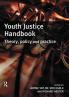 Youth Justice Handbook