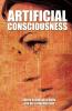 Artificial Consciousness