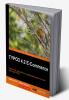 Typo3 4.2 E-Commerce