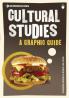 Introducing Cultural Studies A Graphic Guide
