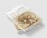 History of the Brain