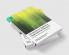 Handbook of Qualitative Organizational Research