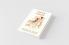 Aesop's Fables