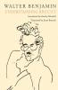 Understanding Brecht