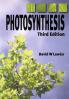 Photosynthesis