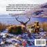 Adventures of a Far Away Bear: Book 6 - Highland Fling