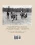 Training Workhorses / Training Teamsters: Second Edition