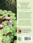 Life-Changing Spiritual Practices Volume 1: Spiritual practices to build into your lifestyle as you walk the spiritual path on practical feet