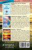 Handbook for the New Paradigm (3 books in 1)
