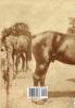 Voices of the First World War