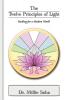 The Twelve Principles of Light: Healing for a Modern World