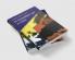 EC Competition Law and Policy