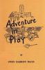 Adventure in Play: 1 (Common Threads Playwork Classics)