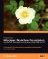 Programming Windows Workflow Foundation