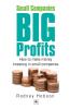 Small Companies Big Profits