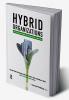 Hybrid Organizations