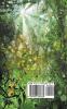The Little Book of Celtic Reiki Wisdom