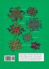 Lattice Labyrinth Tessellations