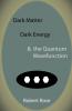 Dark Matter Dark Energy & the Quantum Wavefunction