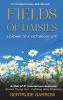 Fields of Daisies: Leading to A Victorious Life