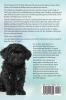Toy Poodles. the Ultimate Toy Poodle Manual. Toy Poodles Pros and Cons Size Training Temperament Health Grooming Daily Care All Included.