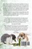 Mini Lop Rabbits The Complete Owner's Guide to Mini Lop Bunnies How to Care for your Mini Lop Eared Rabbit including Breeding Lifespan Colors Health Personality Diet and Facts