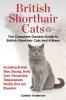 British Shorthair Cats The Complete Owners Guide to British Shorthair Cats and Kittens  Including British Blue Buying Daily Care Personality Temperament Health Diet and Breeders