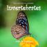 Draw Your Own Encyclopaedia Invertebrates: 6