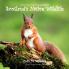 Draw Your Own Encyclopaedia Scotland's Native Wildlife: 10