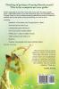 Praying Mantis Ultimate Care Guide