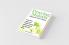 Praying Mantis Ultimate Care Guide