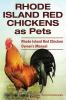 Rhode Island Red Chickens as Pets. Rhode Island Red Chicken Owner's Manual