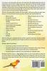 Sun Conure. Sun Conures as pets. Sun Conures Keeping Pros and Cons Care Housing Diet and Health.