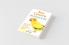 Sun Conure. Sun Conures as pets. Sun Conures Keeping Pros and Cons Care Housing Diet and Health.
