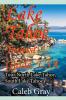 Lake Tahoe Tourist Guide USA: Tour North Lake Tahoe South Lake Tahoe