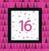 Happy 16 Birthday Party Guest Book (Girl) Birthday Guest Book Keepsake Sweet 16 Happy 16th Birthday Birthday Gift Wishes Gift Log Comments and Memories.