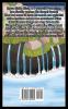Big Fangs: 2 (Nicu - The Littlest Vampire American-English Edition)