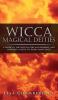 Wicca Magical Deities: A Guide to the Wiccan God and Goddess and Choosing a Deity to Work Magic With