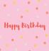 Happy Birthday Guest Book (Hardcover)