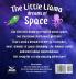 The Little Llama Dreams of Space: 4 (The Little Llama's Adventures)