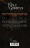 The Triple Goddess: 3 (Afterlife Saga)