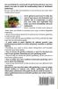 Indoor Vegetable Gardening: Creative Ways to Grow Herbs Fruits and Vegetables in Your Home